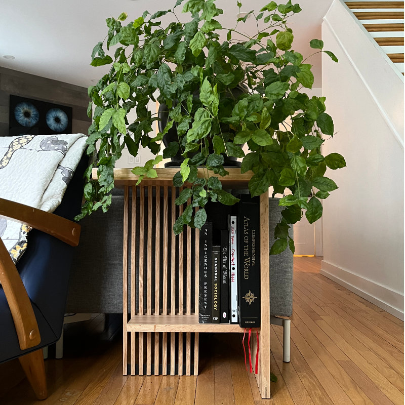 Image of a two plane plant stand.